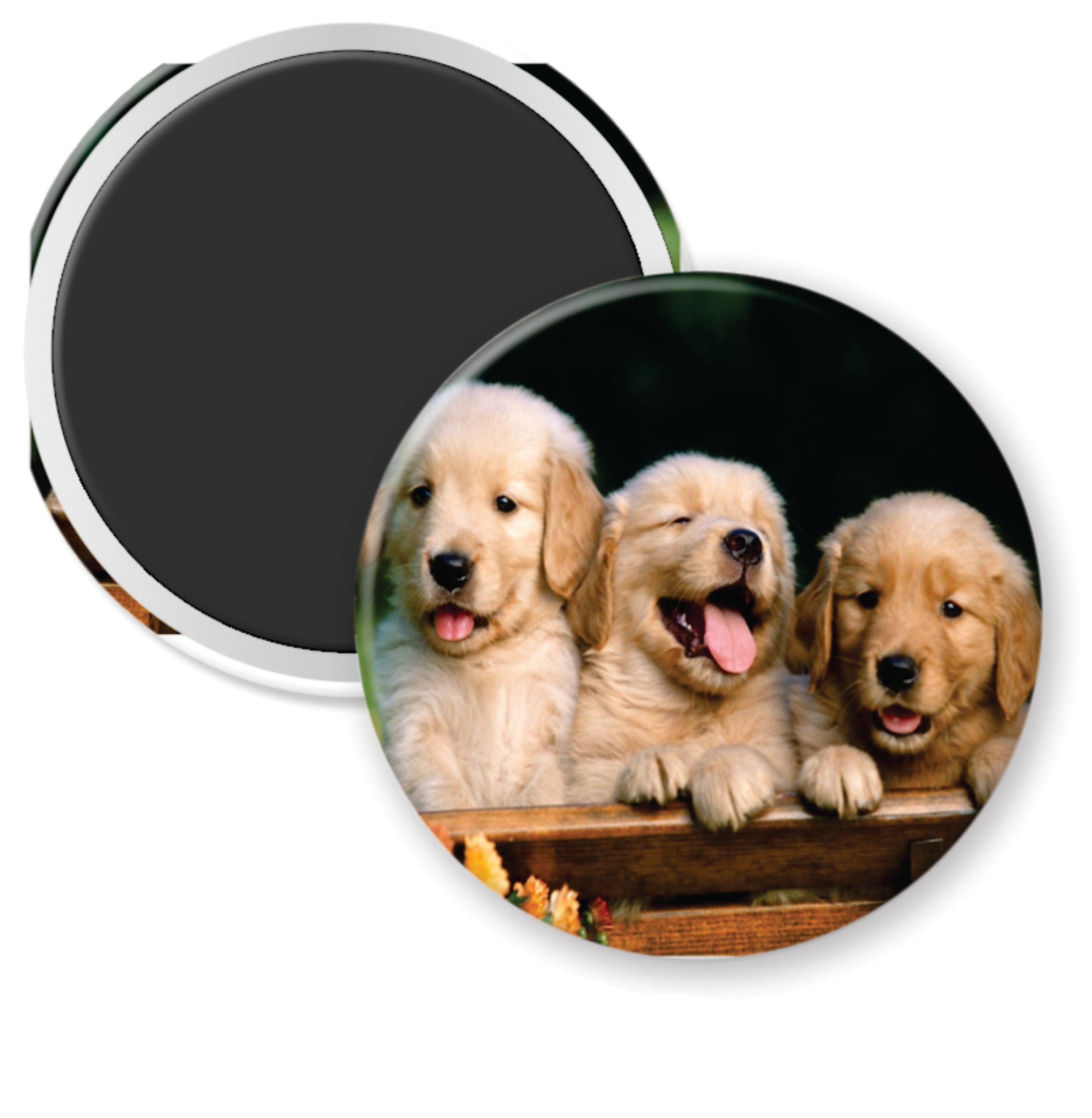 3- 2.25 PHOTO BUTTONS